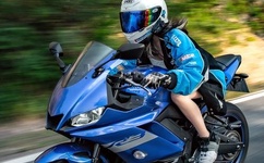 百里挑一杨弘马吉亮